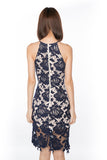 Natallie Crochet Overlay dress in Navy - Mint Ooak - Dress - 5