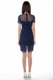 Hillary Lace Sleeve Dress - Mint Ooak - Dress - 6